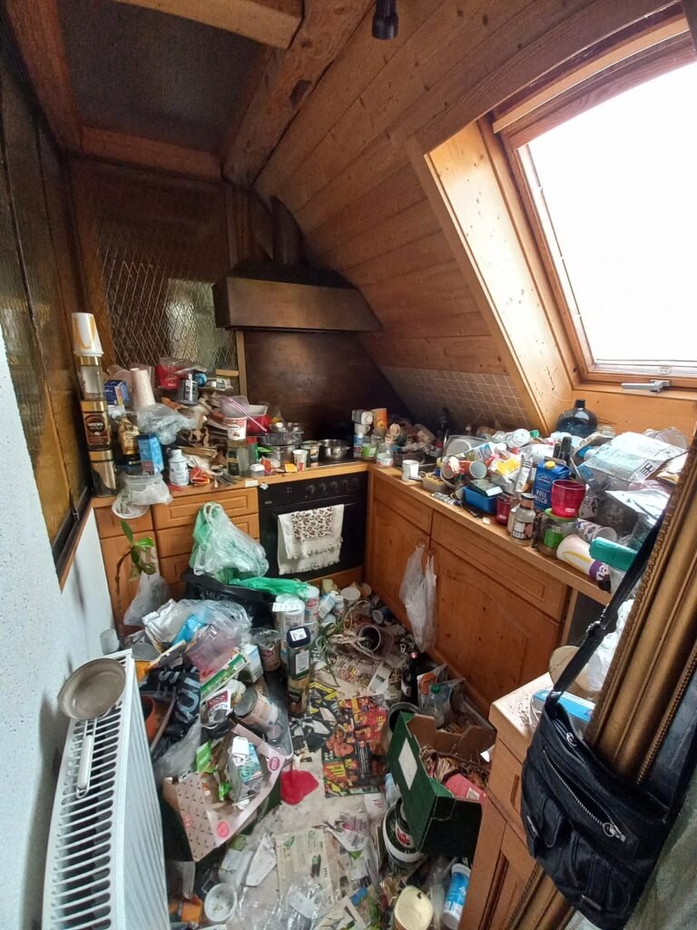 Cuisine envahie de détritus